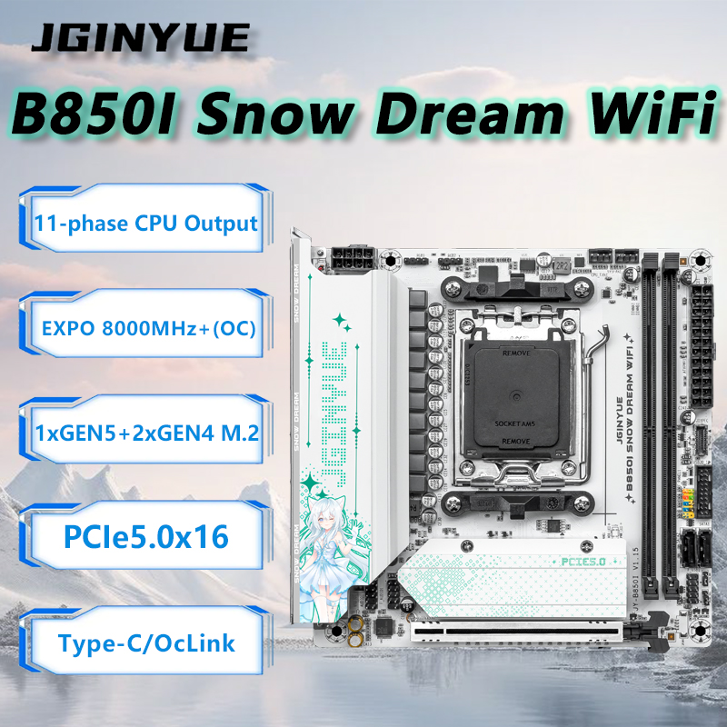 JGINYUE B850i Snow Dream WiFi  - Nas Motherboard 8 Sata Mini Itx のレビューと価格