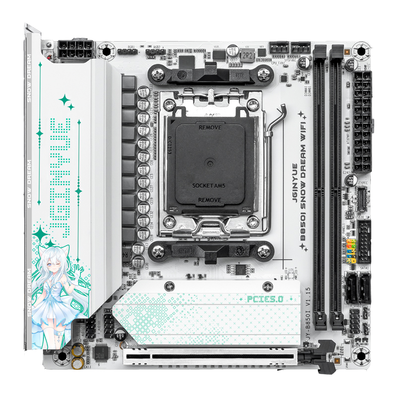JGINYUE B850i Snow Dream WiFi  - Nas Motherboard 8 Sata Mini Itx のレビューと価格